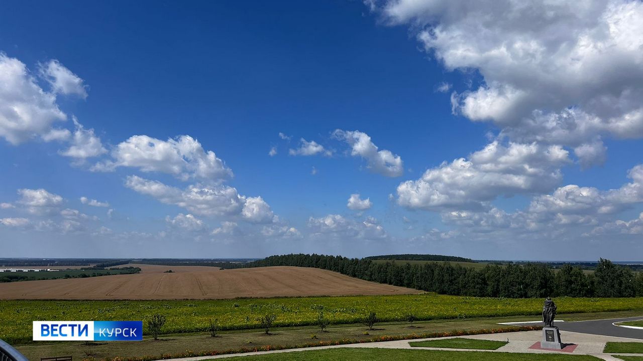 7 украинских БПЛА уничтожены в небе Курской области | ГТРК «Курск» 7 украинских БПЛА уничтожены в небе Курской области