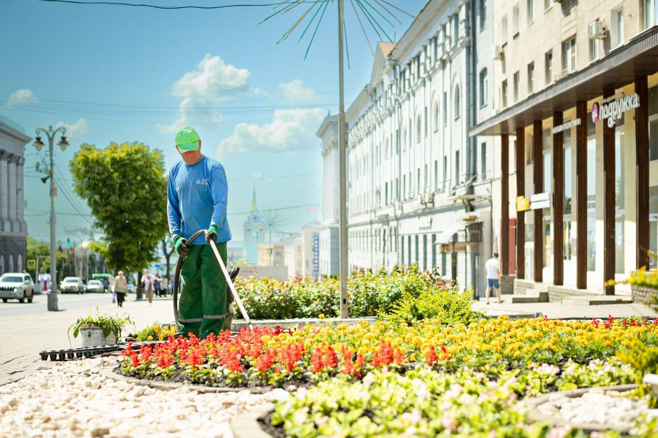 В центре Курска теперь летние клумбы