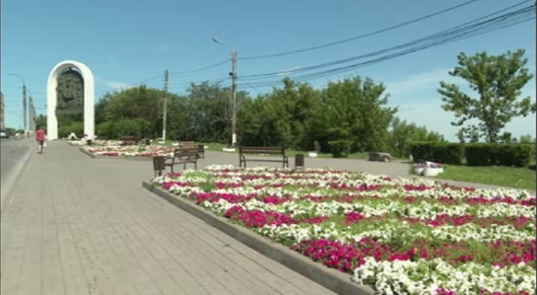 В Курске высадят 140 тысяч саженцев цветов