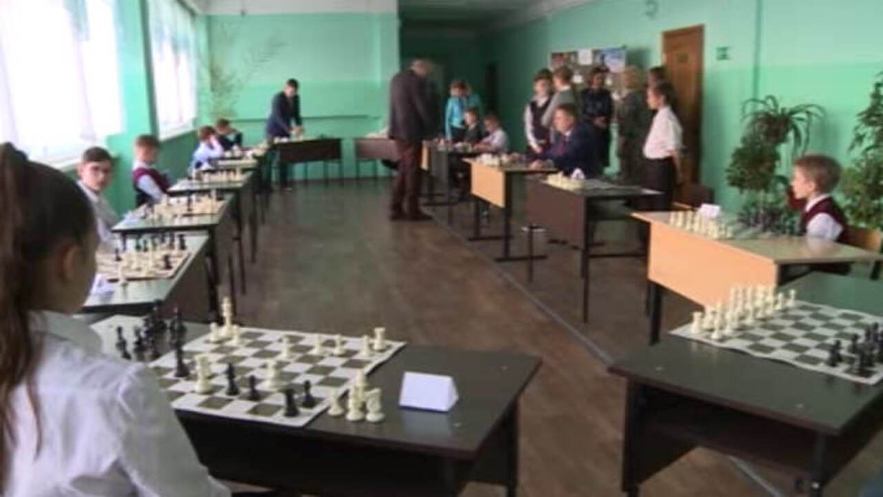 Шахматное пространство появится в Первомайском парке в Курске