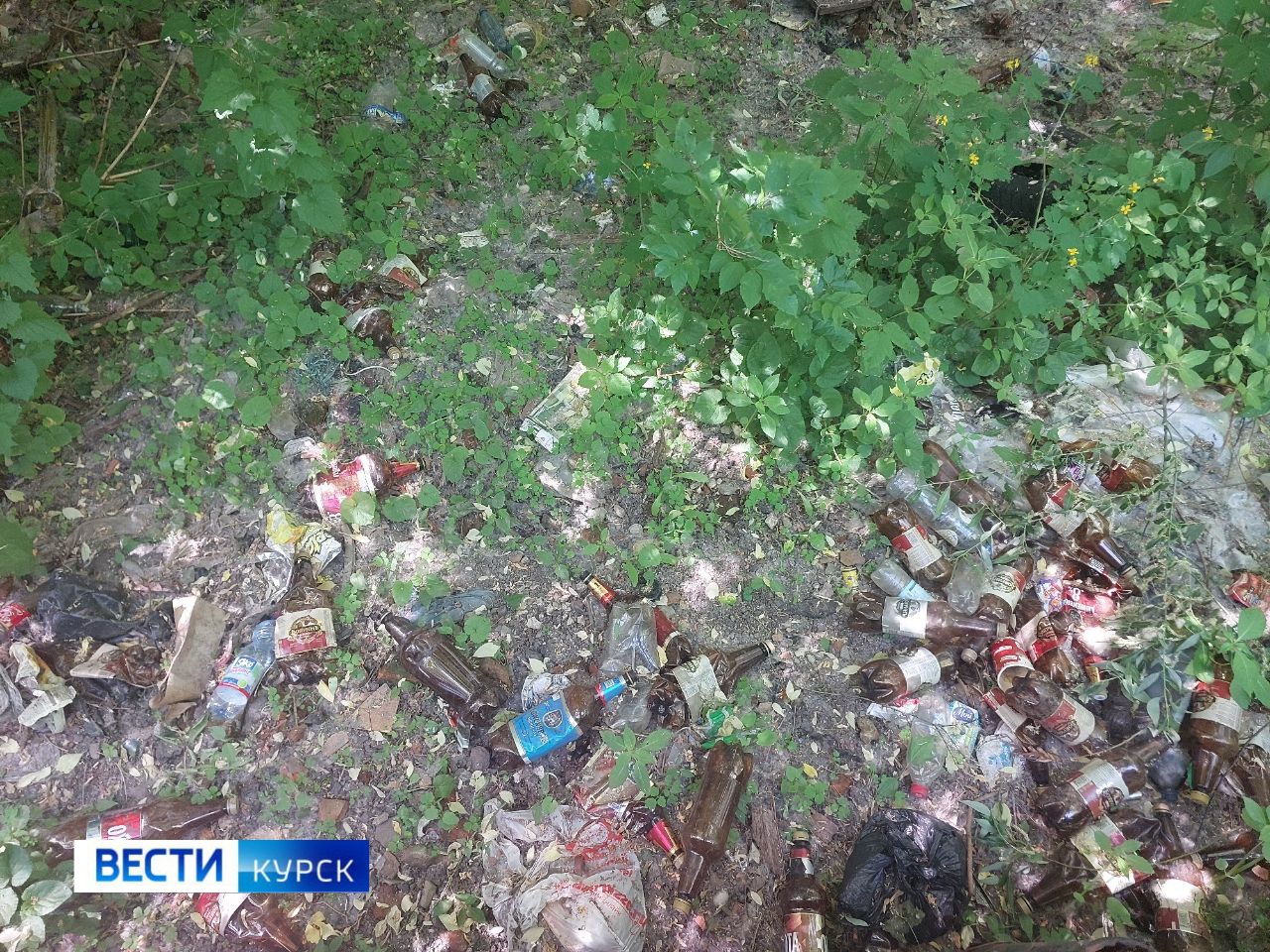 Стихийная мусорная свалка продолжает разрастаться на улице Щемиловка в Курске