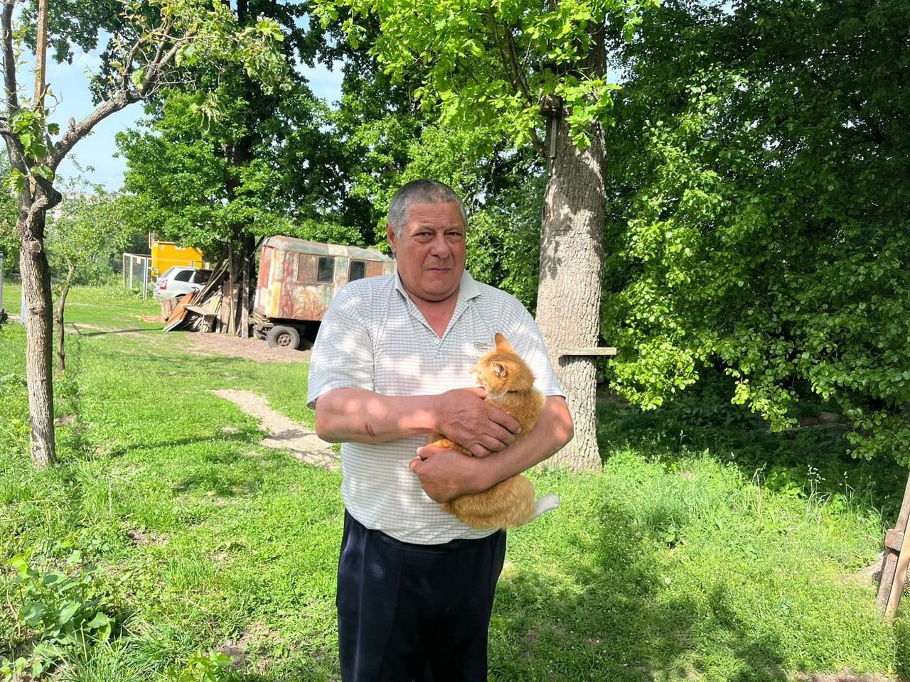  В Железногорске Курской области спасли кота