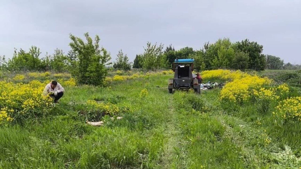Подрядчик не смог восстановить работу скважины в Дроздах Курской области