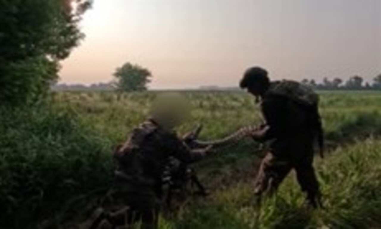 Курское приграничье: враг опускается до провокаций в информационном поле