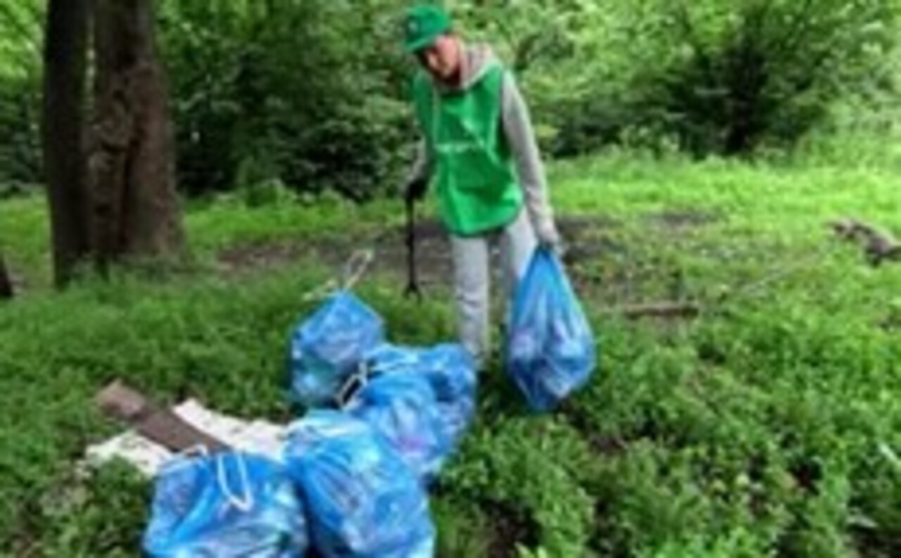  Курские защитники природы продолжают череду летних субботников