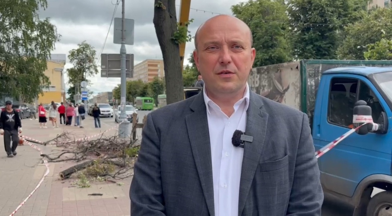 На улице Ленина в Курске спиливают только сухие ветки деревьев 