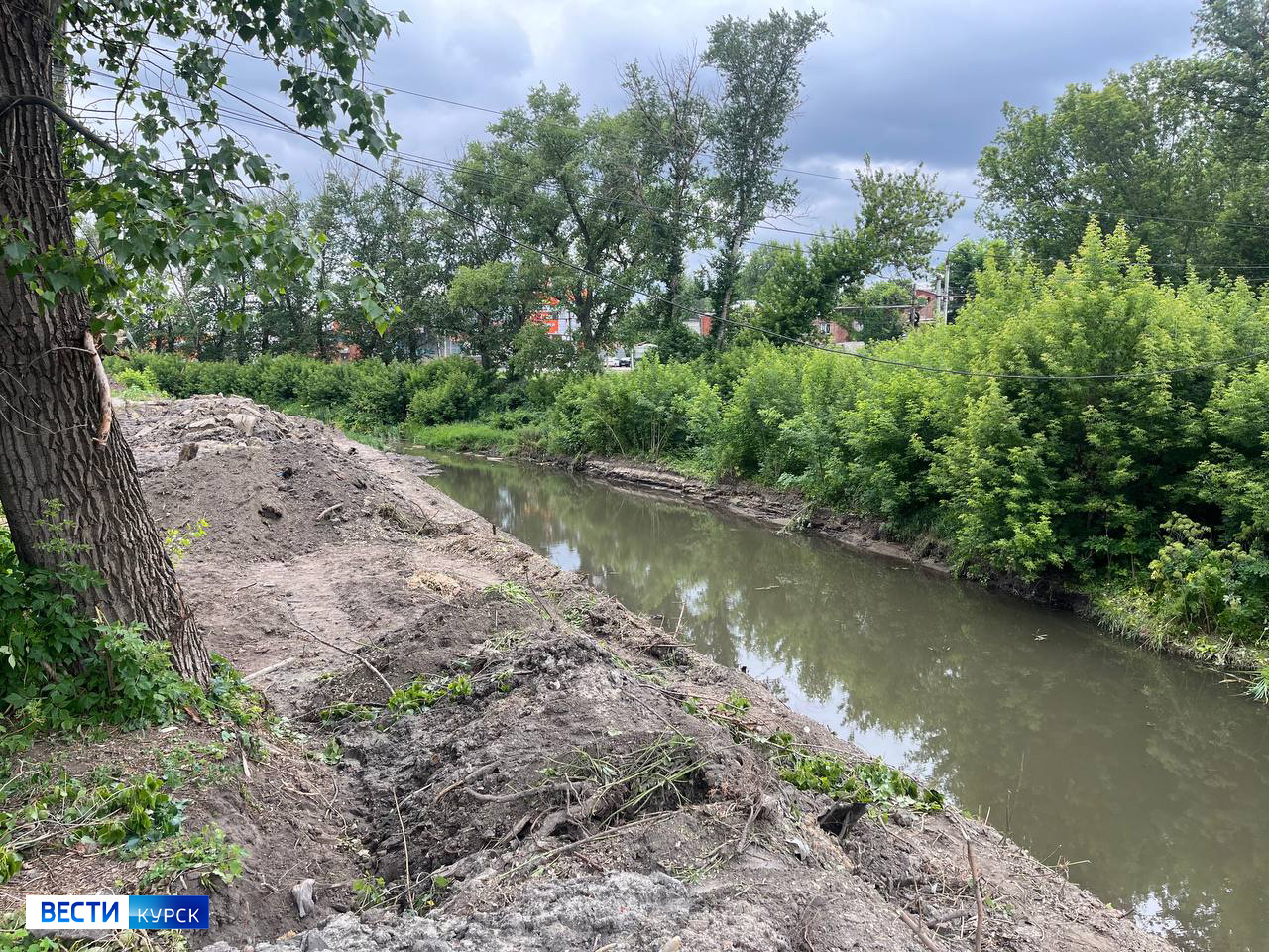 В Курске продолжается расчистка реки Тускарь