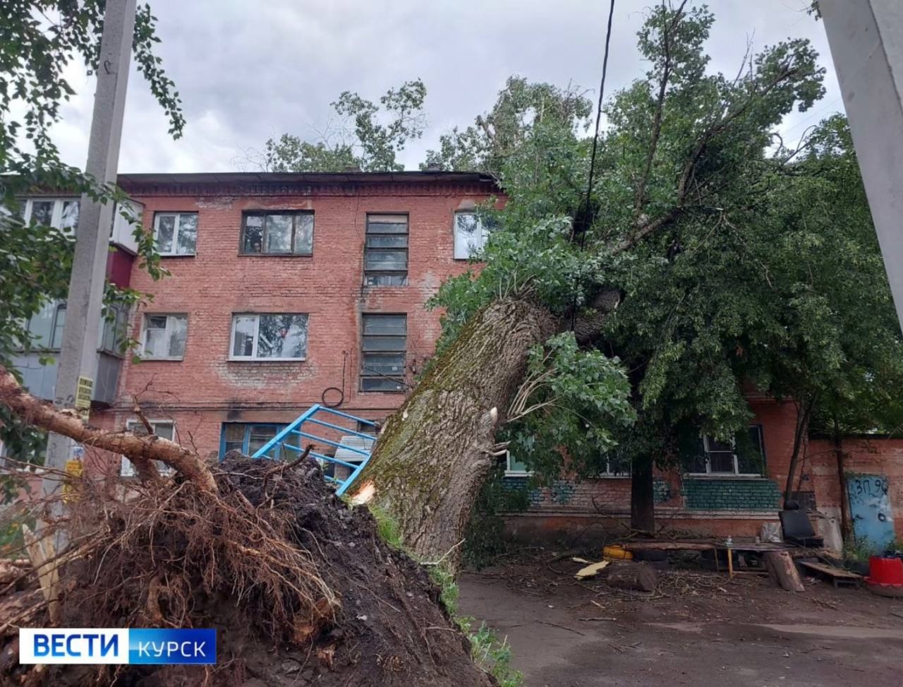 Упавшее дерево повредило дом на Обоянской в Курске
