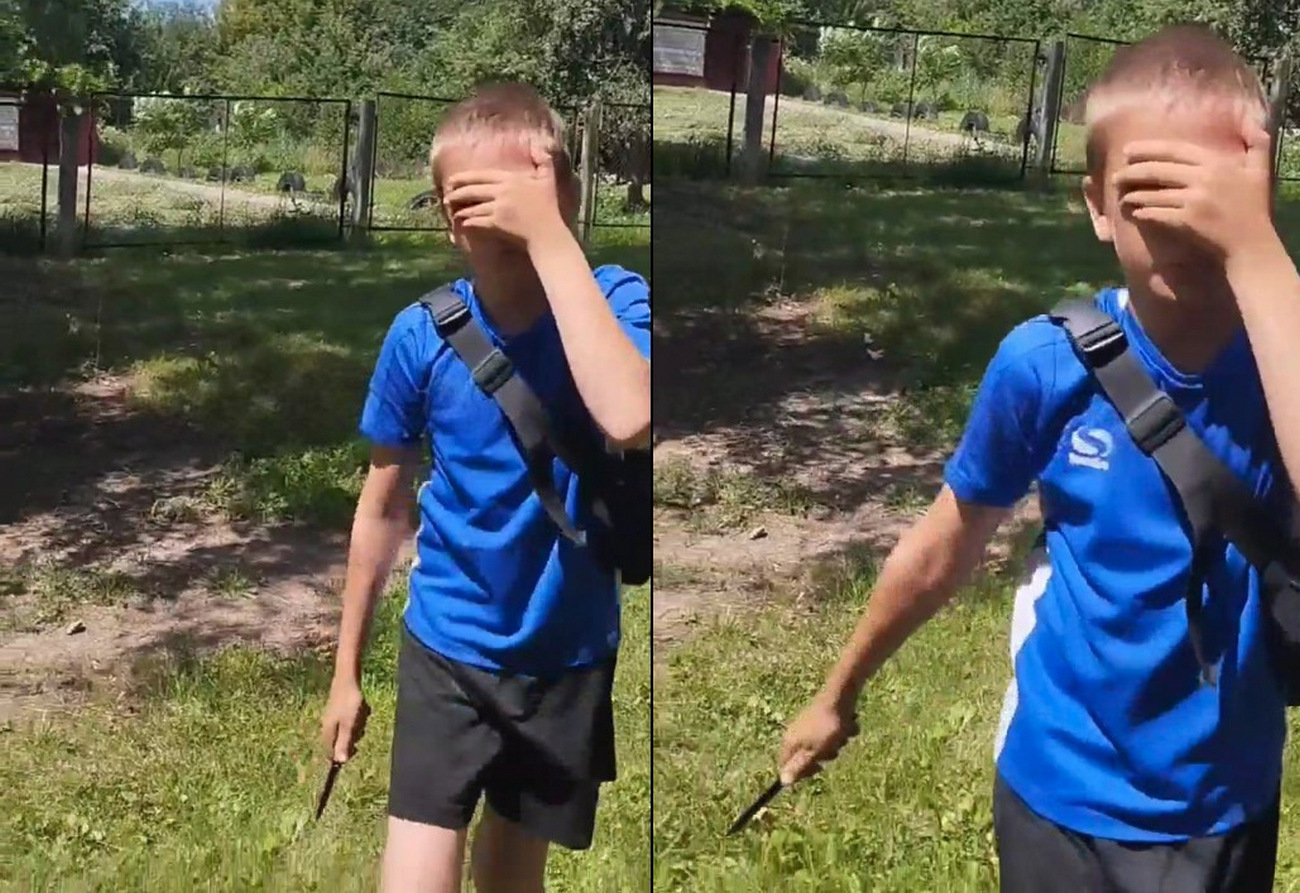  Полиция установила личности детей, нападавших на прохожих в Курске