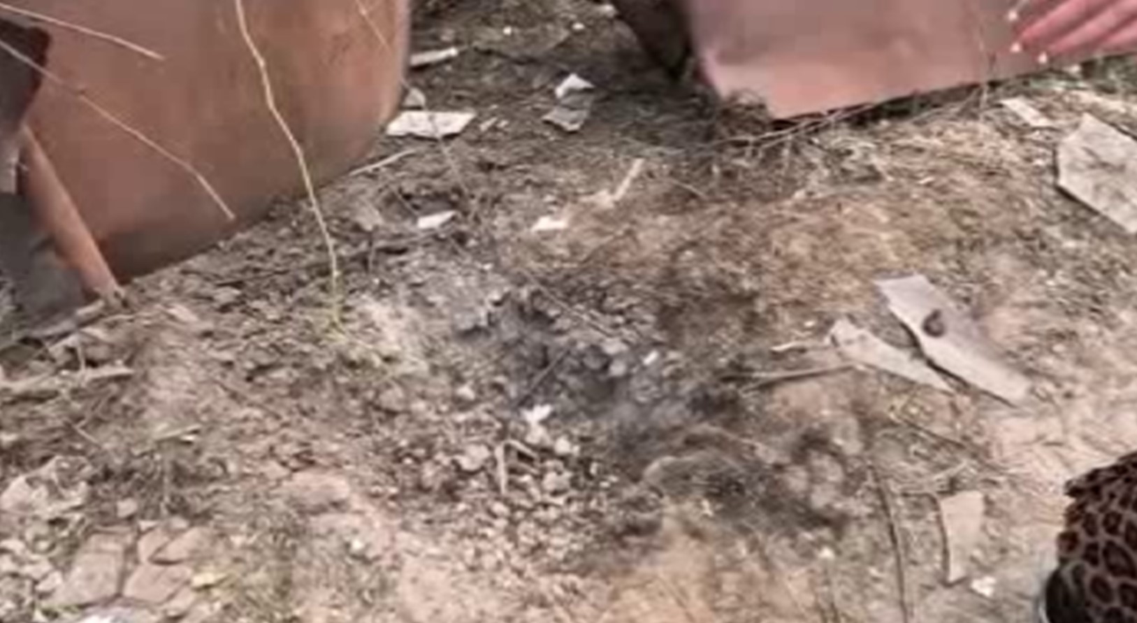 Накануне беспилотник военных преступников унес жизнь человека в Курске