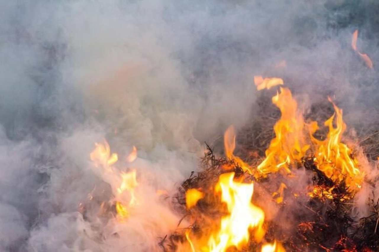 3 пожара произошло за сутки в Курской области