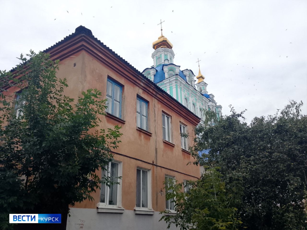 В Курске на улице Можаевской появится зеленая зона | ГТРК «Курск» В Курске на улице Можаевской появится зеленая зона