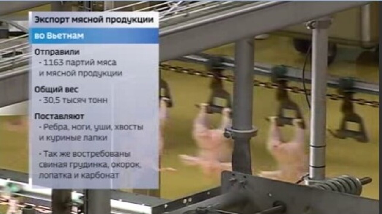 Курская область увеличила экспорт мясной продукции с Вьетнамом