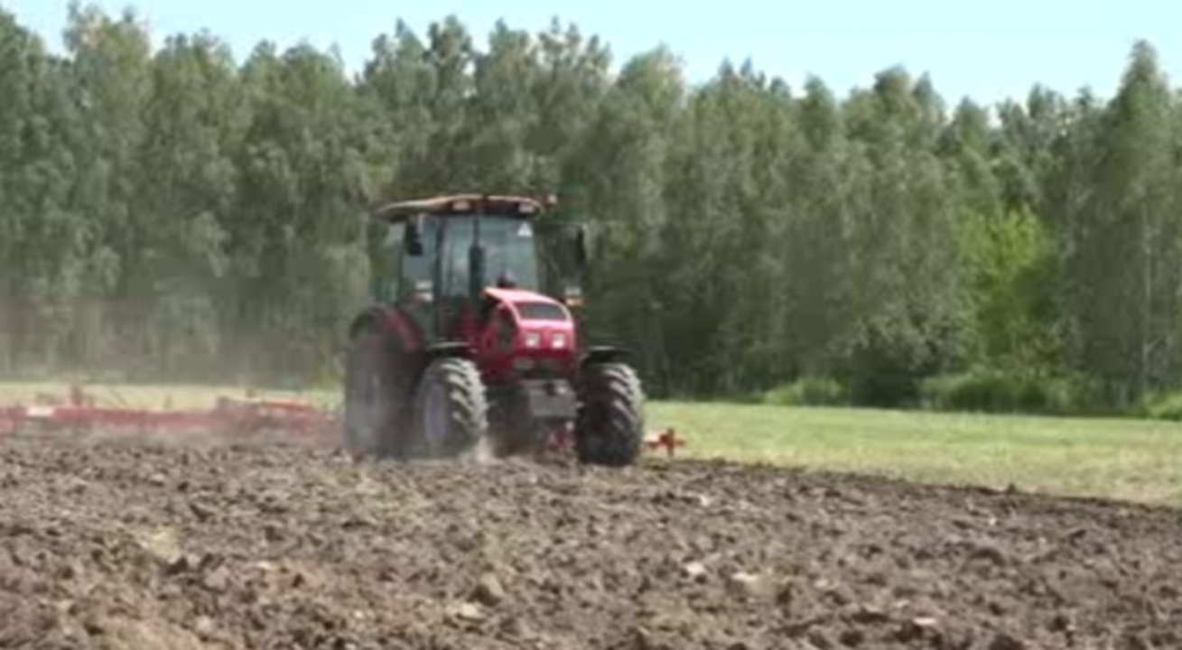 Добрая примета сезона - «День Поля» прошел в Курской области