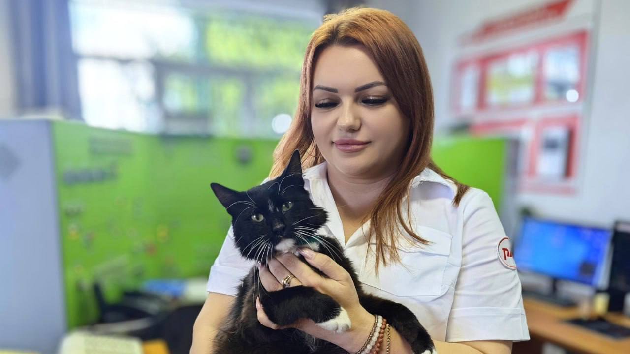 Кот на работе: на станции Шерекино трудится ликвидатор мышей