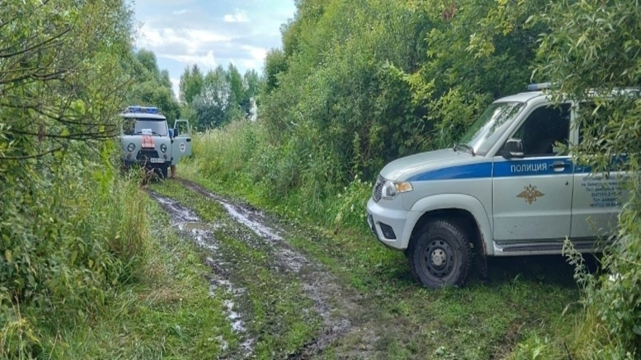 40-летний курянин утонул в Золотухинском районе