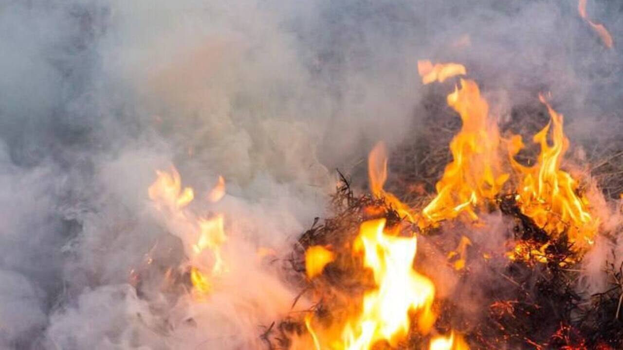  6 пожаров произошло в Курской области за сутки
