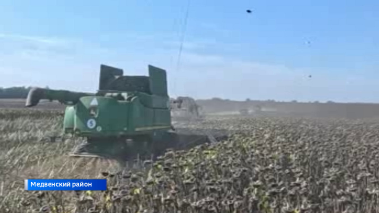 В Курской области продолжается уборочная кампания