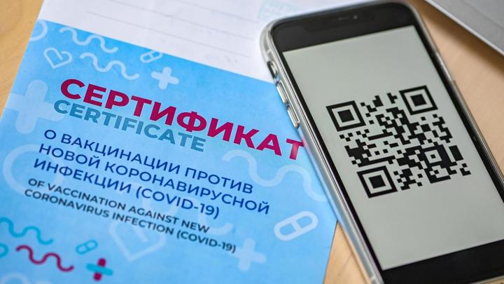 В Курске без QR-кода не пускают на фитнес, учреждения культуры, кафе | ГТРК «Курск»