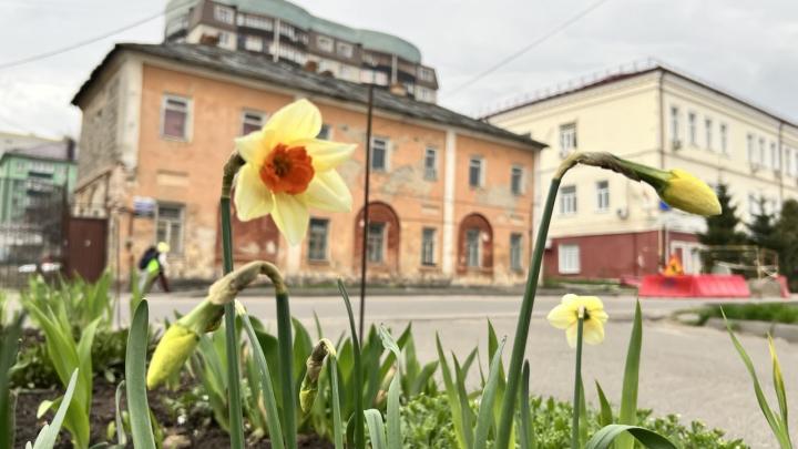 Апрель нечаянно нагрянет: неапрельские погодные условия в Курске Апрель нечаянно нагрянет: неапрельские погодные условия в Курске | ГТРК «Курск»