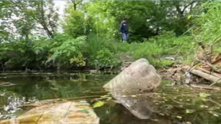 Река Тускарь в Курске мелеет, в воде все больше примесей Река Тускарь в Курске мелеет, в воде все больше примесей | ГТРК «Курск»