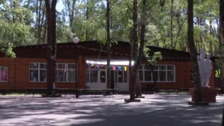 11 лагерей и 2 санатория распахнут двери перед юными курянами 11 лагерей и 2 санатория распахнут двери перед юными курянами | ГТРК «Курск»