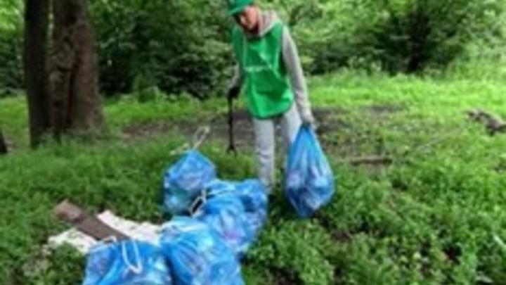 Курские защитники природы продолжают череду летних субботников Курские защитники природы продолжают череду летних субботников | ГТРК «Курск»