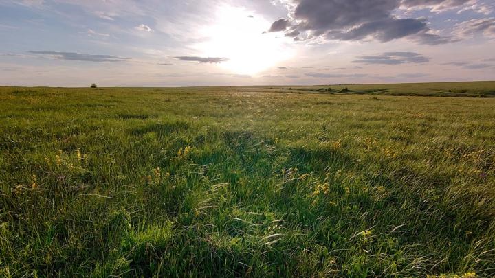 В Курском заповеднике отметили День фотографа В Курском заповеднике отметили День фотографа | ГТРК «Курск»