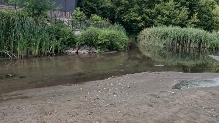 Река Тускарь в Курской области превращается в ручей из-за обмеления Река Тускарь в Курской области превращается в ручей из-за обмеления | ГТРК «Курск»