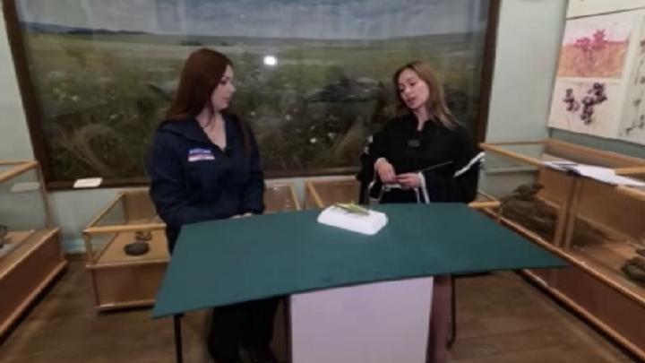 Курский краеведческий музей хранит тропического обитателя Курский краеведческий музей хранит тропического обитателя | ГТРК «Курск»