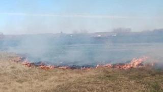 Огнеборцы Курского района потушили горящий сухостой | ГТРК «Курск»