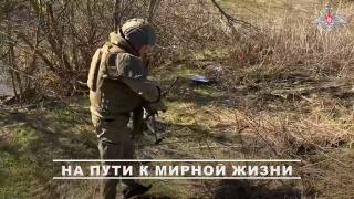 Группировка войск «Север» продолжает разминирование территорий в курском приграничье | ГТРК «Курск»