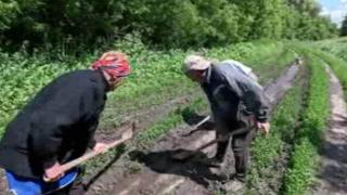 Хутор Свиридов в Курской области — без дороги | ГТРК «Курск»