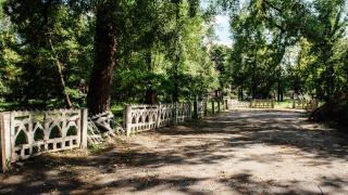 Парк около Дворца молодёжи в Курске скоро преобразится | ГТРК «Курск»