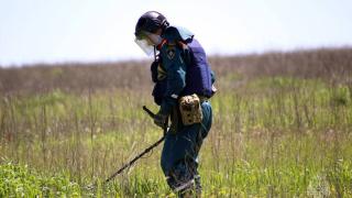 За сутки в Курской области обезвредили 340 взрывоопасных предметов | ГТРК «Курск»