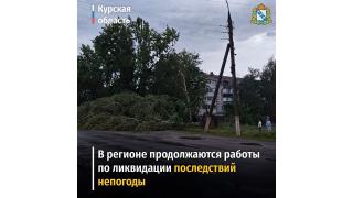 В Курской области из-за сильной непогоды произошли падения деревьев и обрывы ЛЭП | ГТРК «Курск»