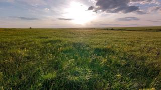 В Курском заповедники отметили День фотографа | ГТРК «Курск»
