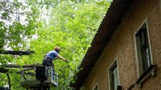 В Курске из-за сильного ветра дерево упало на дом | ГТРК «Курск»