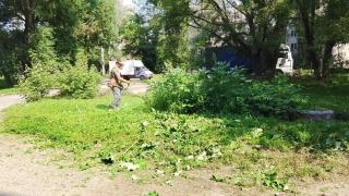 Врио губернатора прокомментировал проблему с некошеной травой в Курске | ГТРК «Курск»