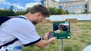 В Курске на площадке 