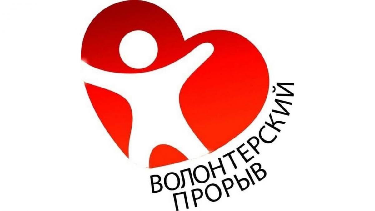 Волонтерские проекты в новосибирске